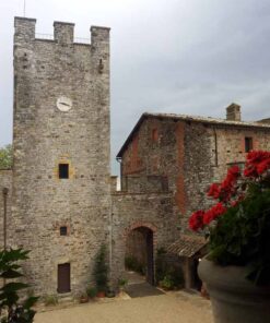 Spectacular Medieval Towered Castle (Siena)